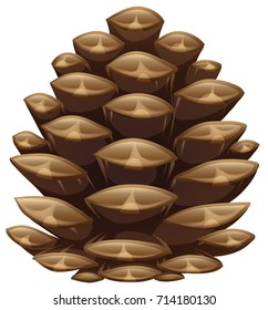 Una pinecona en la ilustración de closet