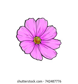 One pink flower sketch in color, vector illustration isolated on white background