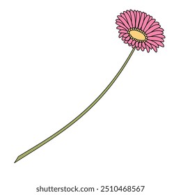 uma flor rosa Gerbera daisy