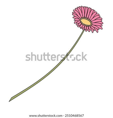 one pink Gerbera daisy  flower