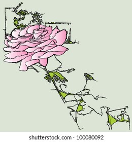one pink rose