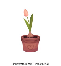 One pink tulip grows in a brown pot. Vector image on white background.