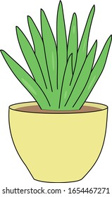 Una flor en una olla.