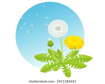 One point material of fluffy dancing dandelions