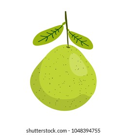 One pomelo is on a white background.