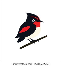 One pretty bird vector art work