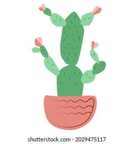 Eine prickelig große Kaktus mit Blumen in einem rosafarbenen Topf einzeln auf weißem Hintergrund