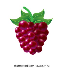 One purple vector fresh tasty raspberry with green leaves on white background of vitamine fruit berry