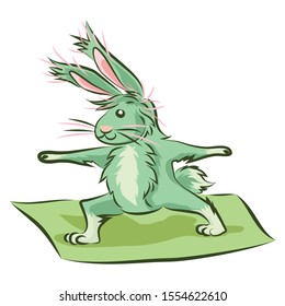 One rabbit practicing yoga on a yoga mat