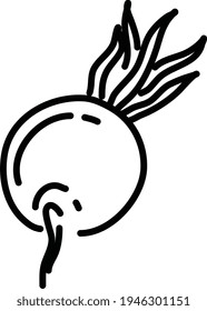 Un rábano, ilustración, vector sobre un fondo blanco