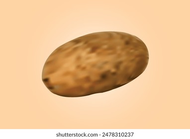 One Realistic Potato Vector Illustration 