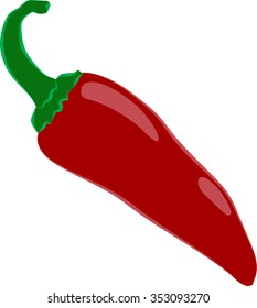 One red bitter pepper vector