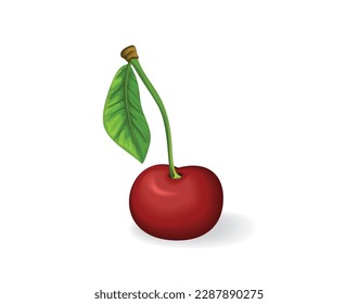 One red cherry berrry with leaf. Isolated on white. Vector illustration.