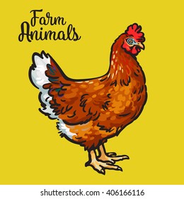 One red colored feathered chicken, sketch style hand-drawn, vector farm animal