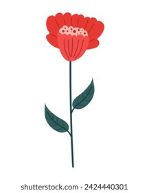 Una flor roja con hojas en un tallo largo. Vector, ilustración botánica de amapola, adecuado para iconos, diseño de marco, ilustraciones de vacaciones, sobre un fondo transparente, eps 10.