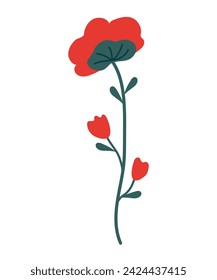 One red flower with leaves and unopened buds on a long stem. Vector, botanical illustration of poppy, suitable for icons, frame design, holiday illustrations, on a transparent background, eps 10.