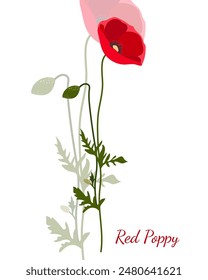 one red flower poppy flat grapgic style. Simple flat graphic design of yellow home flowers. Sample vector wild plants. Vector isolated flat style art