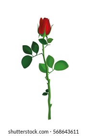 One red flower. Rose. Greeting card for Valentine's Day wedding and birthday. Empty space for your text or advertisement. Vector illustration on white background
