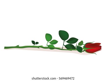 One red flower. Rose lies. Greeting card for Valentine's Day wedding and birthday. Empty space for your text or advertisement. Vector illustration on white background
