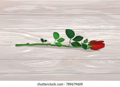 One red flower. Rose lies. Greeting card for Valentine's Day wedding and birthday. Empty space for your text or advertisement. Vector illustration on wooden background.