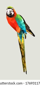 One red Macaw with green and blue wings low polygon isolated on white background, colorful parrot bird modern geometric icon, pet crystal design illustration.