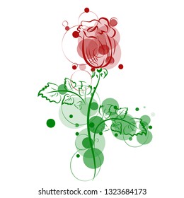 One red rose flower on the background of bubbles