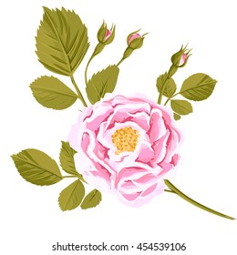 One red rose with leaves. Possibly to use as greeting card, invitation card for wedding, birthday and other holiday and summer background. Watercolor hand drawn rose