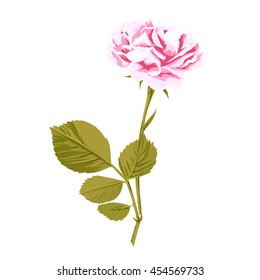 One red rose with leaves. Possibly to use as greeting card, invitation card for wedding, birthday and other holiday and summer background. Watercolor vector hand drawn rose