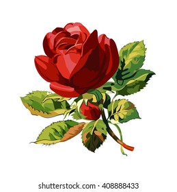 One red rose. Wedding drawing. Greeting card. Flower backdrop. Vector hand drawn illustration.