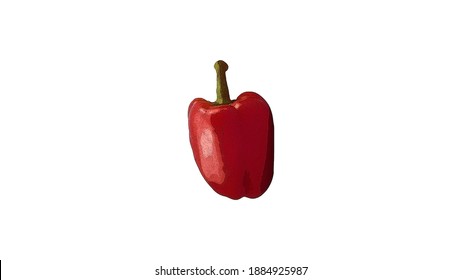 one red sweet bell pepper illustration on white background
