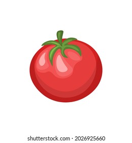 one red tomato isolated on white background. vector illustration. Healthy food and vitamin. 