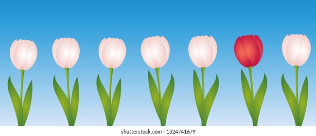 one red tulip between many white tulips vector illustration EPS10