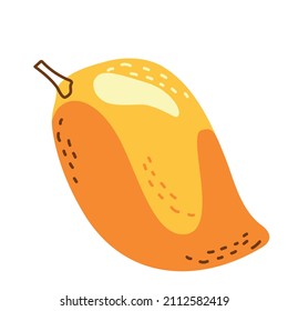 One ripe juicy mango is yellow orange. Vector illustration in hand-drawn style for decor, print and postcards
