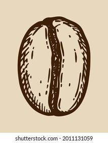 Un grano de café asado. Símbolo gráfico dibujado a mano ilustración vectorial en marrón oscuro aislado sobre beige.