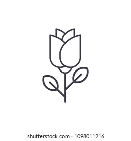 One rose line icon concept. One rose flat vector sign, symbol, illustration.