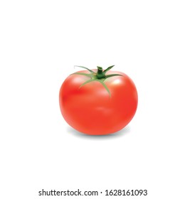 One round ripe tomato on white background. Food concept. front view