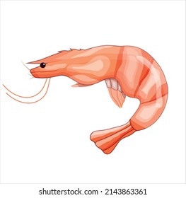 Eine Garnele auf weißem Hintergrund. Essen. Exotisches Meerestier. VektorStock-Illustration. isoliert