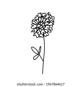 One simple vector flower with a black line.Botanical hand drawn illustration on isolated background.Vintage doodle style picture.Design for packaging, poster,social media,invitation,greeting card.
