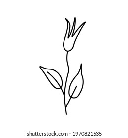 One simple vector flower with a black line.Botanical hand drawn illustration on isolated background.Vintage doodle style picture.Design for packaging, poster,social media,invitation,greeting card.
