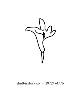 One simple vector flower with a black line.Botanical hand drawn illustration on isolated background.Vintage doodle style picture.Design for packaging, poster,social media,invitation,greeting card.