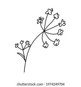 One simple vector flower with a black line.Botanical hand drawn illustration on isolated background.Vintage doodle style picture.Design for packaging, poster,social media,invitation,greeting card.
