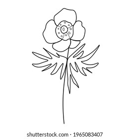 One simple vector peony flower with a black line.Botanical hand drawn illustration on isolated background.Vintage doodle style picture.Design for packaging,social media,invitation,greeting card.