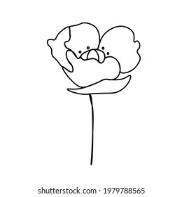 One simple vector poppy with a black line.Botanical hand drawn illustration on isolated background.Vintage doodle style picture.Design for packaging,social media,invitation,greeting card.