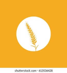 one single gold or yellow Wheat modern simple, art on flat design style vector. Market Plant Product illustration in a white rounded circle. rye symbol & sign for website