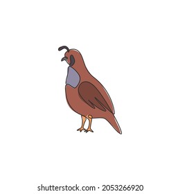 Un solo dibujo de la adorable codorniz del valle de California para la identidad del logotipo de las aves de corral. Concepto de mascota de ave de baño de polvo para ícono nacional del zoológico. Ilustración de diseño de traza continua moderna