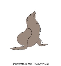 One single line drawing of adorable sea lion for aquatic park logo identity. Cute creature mammal animal mascot concept for circus show. Continuous line draw design vector graphic illustration