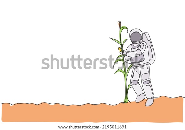 One single\
line drawing of astronaut picking corn from plant in moon surface\
vector illustration. Outer space farming harvest concept. Modern\
continuous line draw design\
graphic