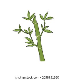 Un dibujo de una sola línea de árboles de bambú para la identidad del logo de la plantación. Nuevo concepto de planta de floración perenne evergreen para ícono de planta. Ilustración vectorial de diseño de dibujo gráfico de línea continua moderna