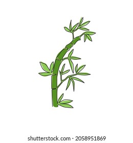 Un dibujo de una sola línea de árboles de bambú para la identidad del logo de la plantación. Nuevo concepto de planta de floración perenne evergreen para ícono de planta. Ilustración gráfica vectorial de diseño de líneas continuas modernas