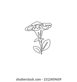 One single line drawing of beauty fresh petunioideae for hpme wall decor poster art. Printable decorative petunia flower concept for park icon. Modern continuous line draw design vector illustration